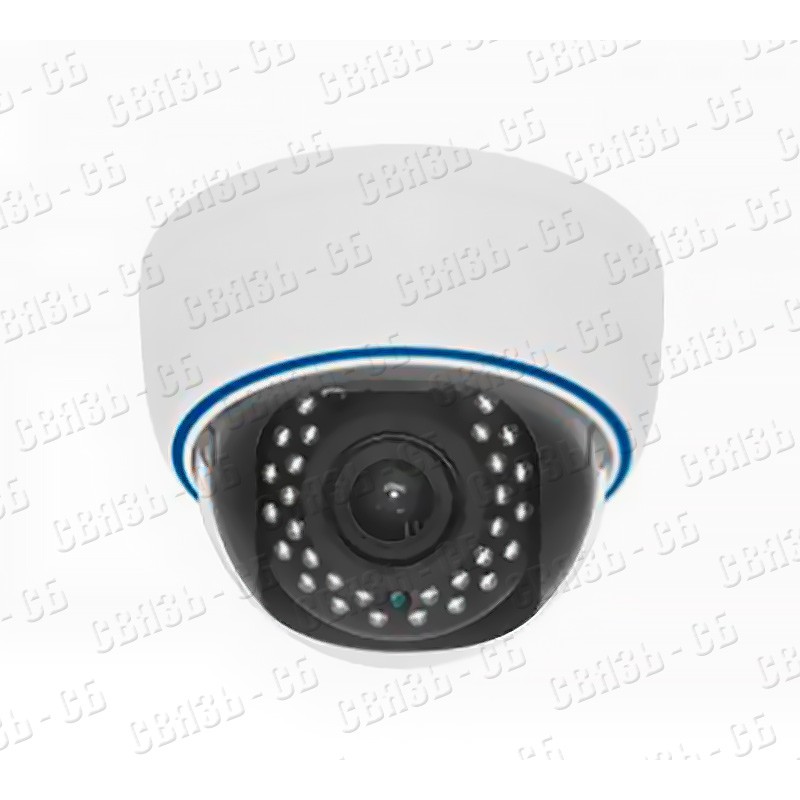 SRD-HD2000SFVF 2.8-12 Вандалозащищенная(IK10) всепогодная купольная камера с подсветкой